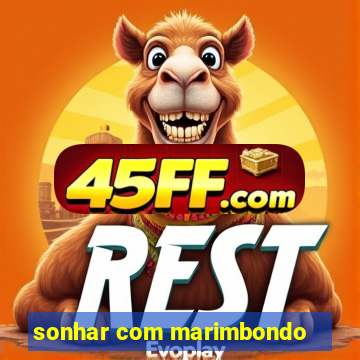 sonhar com marimbondo